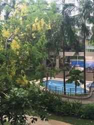 The Shelford (D11), Condominium #176698472